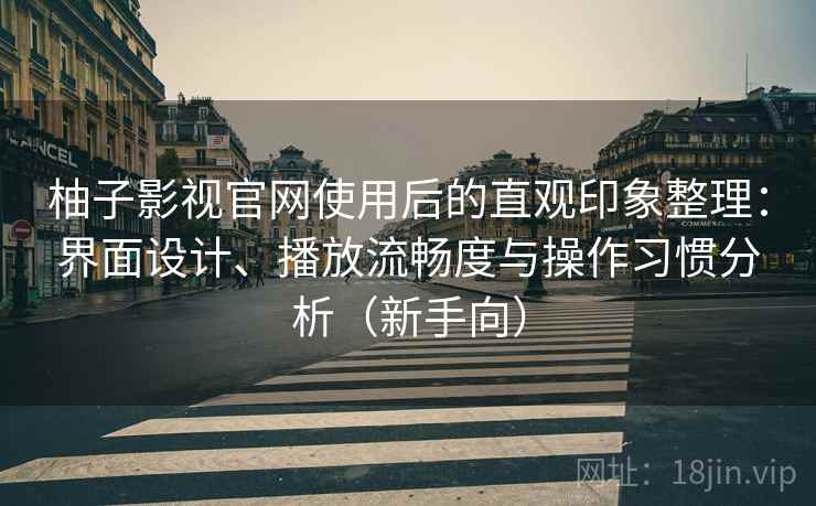 柚子影视官网使用后的直观印象整理：界面设计、播放流畅度与操作习惯分析（新手向）
