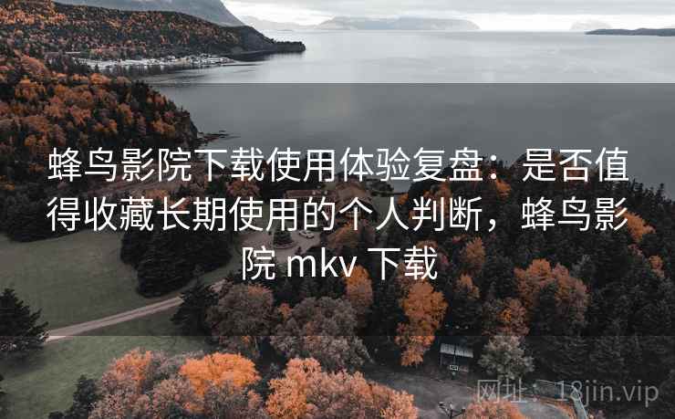 蜂鸟影院下载使用体验复盘：是否值得收藏长期使用的个人判断，蜂鸟影院 mkv 下载