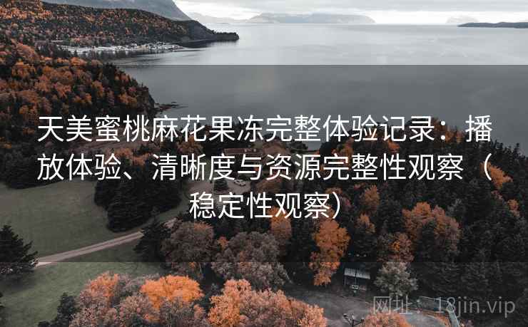 天美蜜桃麻花果冻完整体验记录：播放体验、清晰度与资源完整性观察（稳定性观察）