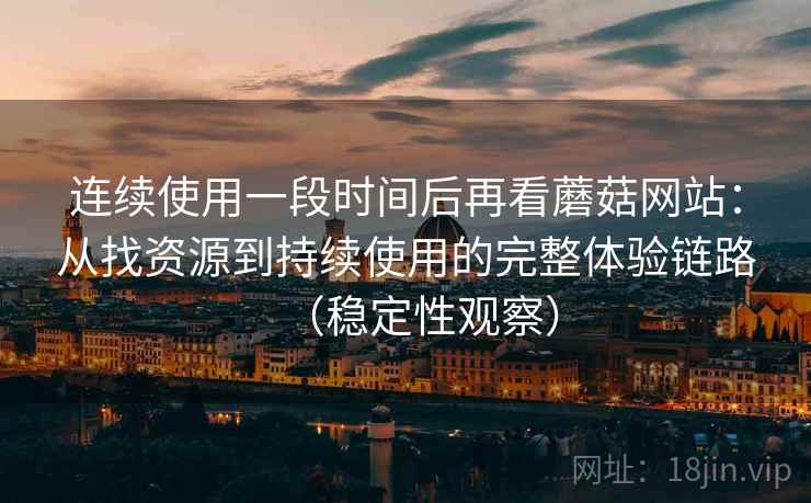 连续使用一段时间后再看蘑菇网站：从找资源到持续使用的完整体验链路（稳定性观察）