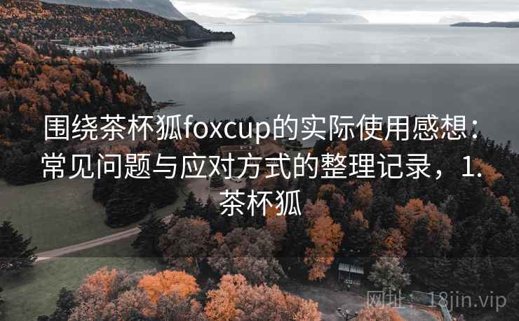 围绕茶杯狐foxcup的实际使用感想：常见问题与应对方式的整理记录，1.茶杯狐