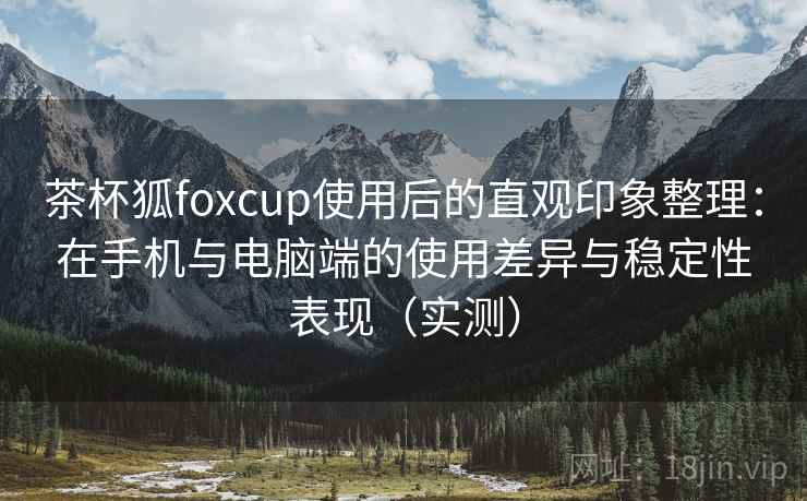 茶杯狐foxcup使用后的直观印象整理：在手机与电脑端的使用差异与稳定性表现（实测）