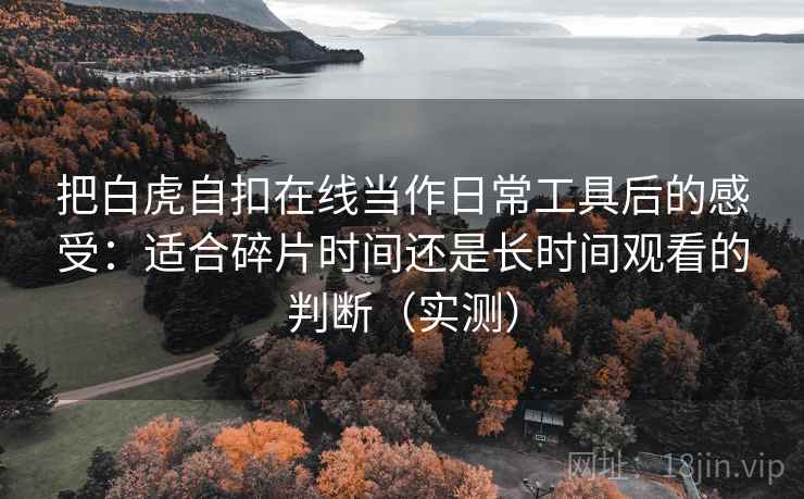 把白虎自扣在线当作日常工具后的感受：适合碎片时间还是长时间观看的判断（实测）