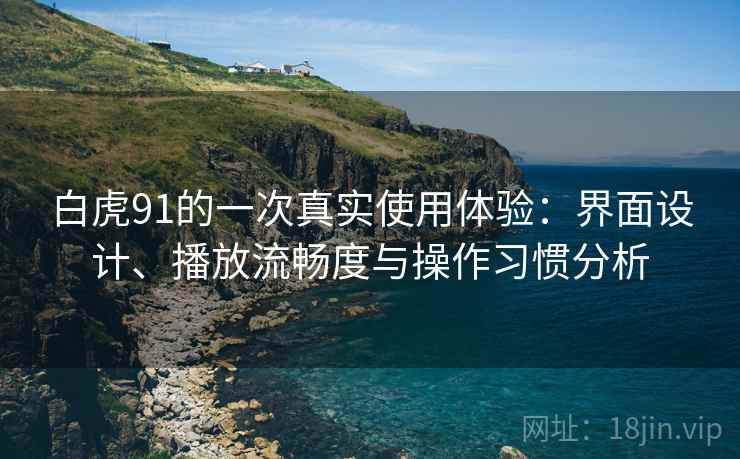 白虎91的一次真实使用体验：界面设计、播放流畅度与操作习惯分析