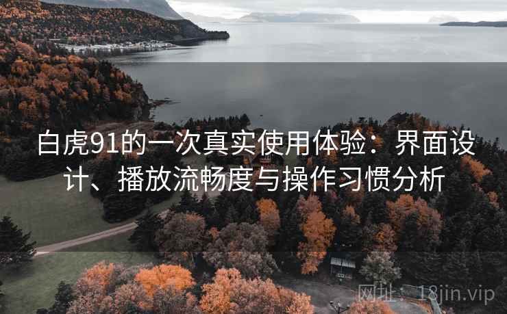 白虎91的一次真实使用体验：界面设计、播放流畅度与操作习惯分析
