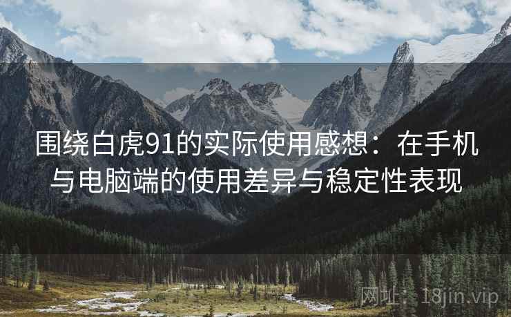围绕白虎91的实际使用感想：在手机与电脑端的使用差异与稳定性表现