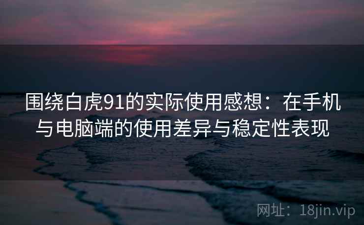 围绕白虎91的实际使用感想：在手机与电脑端的使用差异与稳定性表现